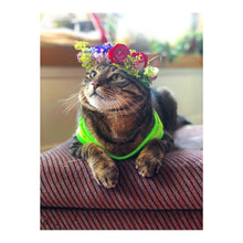 Load image into Gallery viewer, wired work